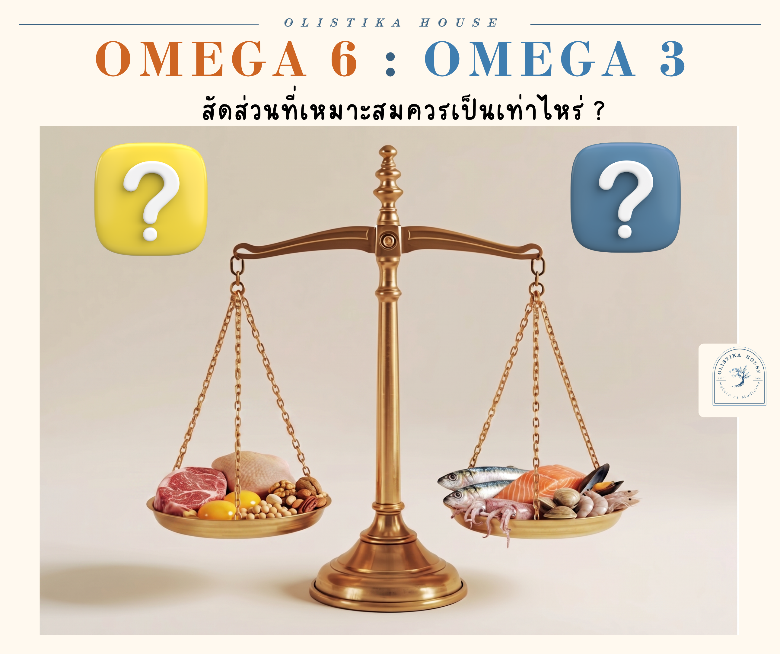 Omega-6 and Omega-3: Why Balance Matters More Than You Think
