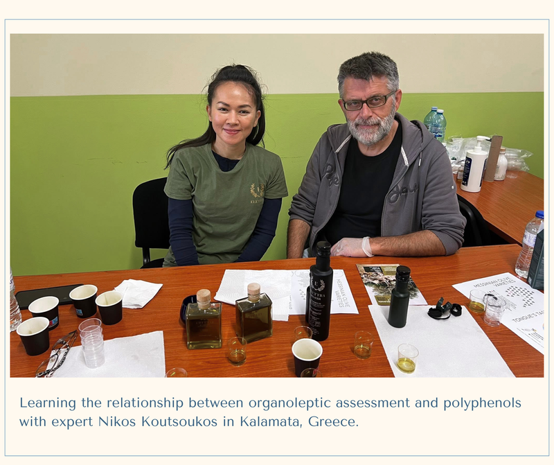 A Journey to Kalamata: High-Polyphenol Olive Oil.